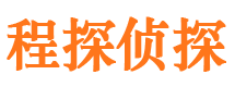 大丰侦探公司